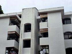Tanglin Park (D10), Condominium #561305891